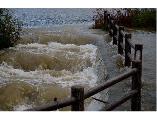 火災保険の新たな仕組み、市区町村別水災料率!?ってなんだぁ