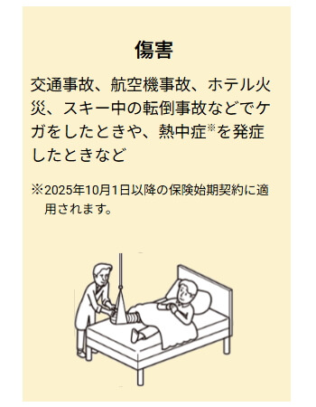 傷害の補償 AIG損保 国内旅行傷害保険 国内旅行のこんなときお役にたちます スキー中の転倒事故 熱中症