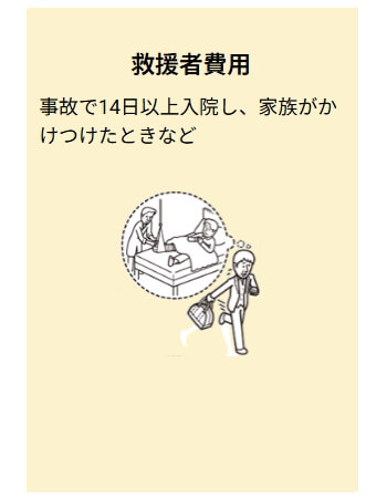 救援者の補償 AIG損保 国内旅行傷害保険 国内旅行のこんなときお役にたちます スキー中の