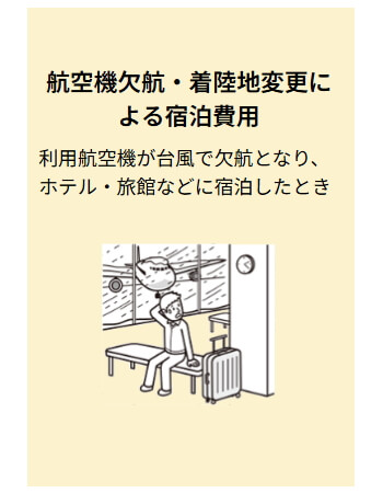 航空機欠航の補償 AIG損保 国内旅行傷害保険 国内旅行のこんなときお役にたちます