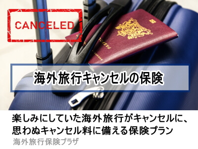 ＡＩＧ損保 海外旅行キャンセル保険 旅行キャンセル費用補償特約 おすすめのキャンセル保険