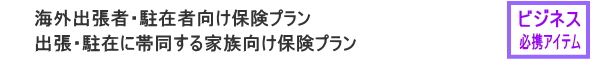 海外出張・駐在プラン（海外出張・駐在保険）