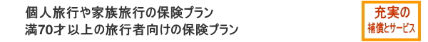 個人・家族で観光プラン（海外旅行保険）