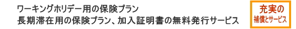 ワーキングホリデープラン（海外留学保険）
