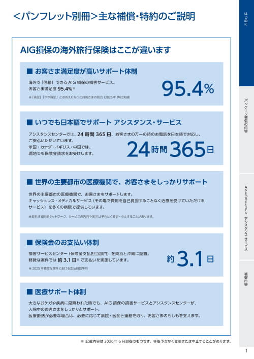 AIG損保 海外旅行保険 個人プラン ファミリープラン 海外出張出張保険 海外留学保険 主な補償内容・特約のご説明